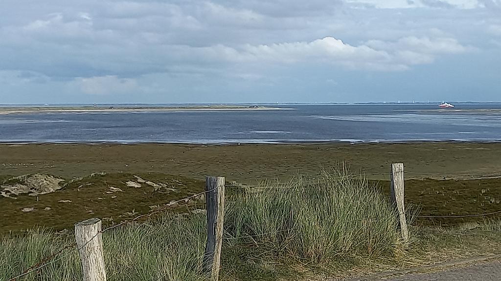 Sylt (192)